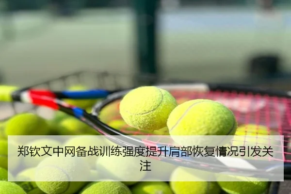 郑钦文中网备战训练强度提升肩部恢复情况引发关注